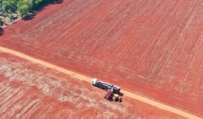Los “pobres” invasores de Guahory
