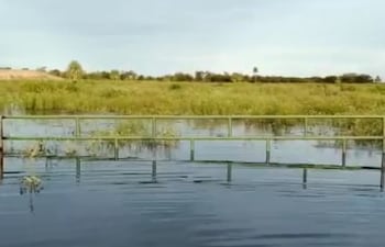 Varios establecimientos se encuentran con los campos inundados tras las lluvias, lo que dificulta el traslado del hato ganadero para la vacunacion.