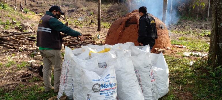 Constatan tala y quema de árboles en Ybycuí