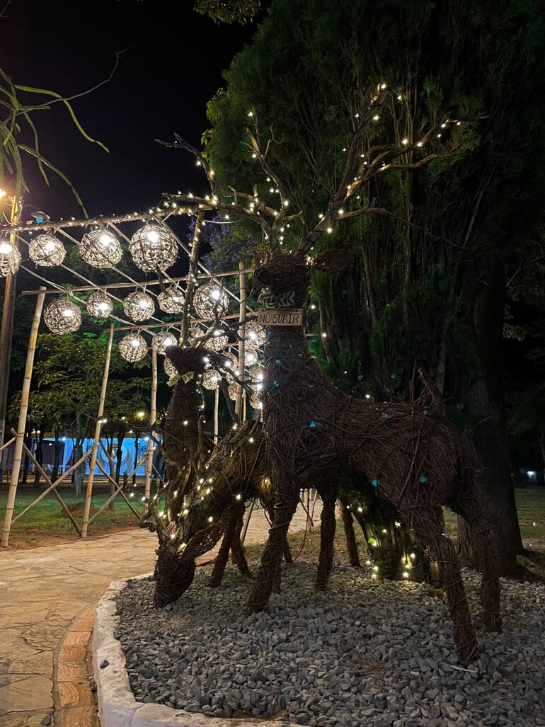 e cuentan con la paseo de luces que tiene una entrada de renos hechos de ysypo, y luego se puede observar unas 200 esferas que también son de ysypo.