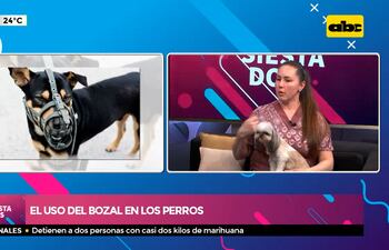 El uso del bozal en los perros