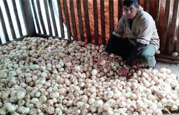 El productor Nicolás López asegura que no puede comercializar su cebolla de excelente calidad.