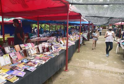 Las ferias coparon la ciudad, en ellas se encuentran varias opciones para todos los gustos y edades,  por ejemplo  libros de autores diversos.
