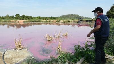 Tras un procedimiento en conjunto, la Fiscalía de medio ambiente imputó a Rogelio Ferreira Martins, dueño de la curtiembre Waltrading SA, por “procesamiento ilícito de desechos y otros”.