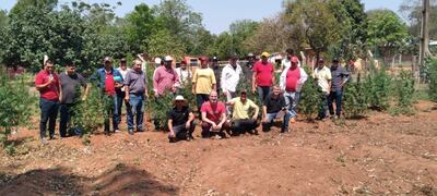 La capacitación para elaborar aceite fue dirigida a 60 campesinos de diversas comunidades, con el apoyo de Granja Madre SA.