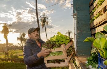 De la huerta a su mesa, el Agroshopping siempre sorprende con sus deliciosas verduras.