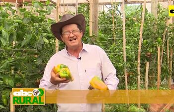 Productor hortícola habla de cuanto creció con el uso de tecnología