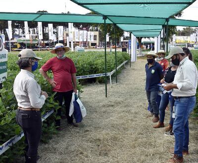 La Ing. Estela Ojeda (izq.) explica sobre las variedades Sojapar.
