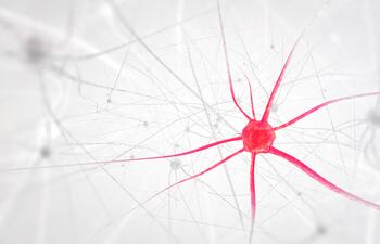 Red de neuronas cerebrales.