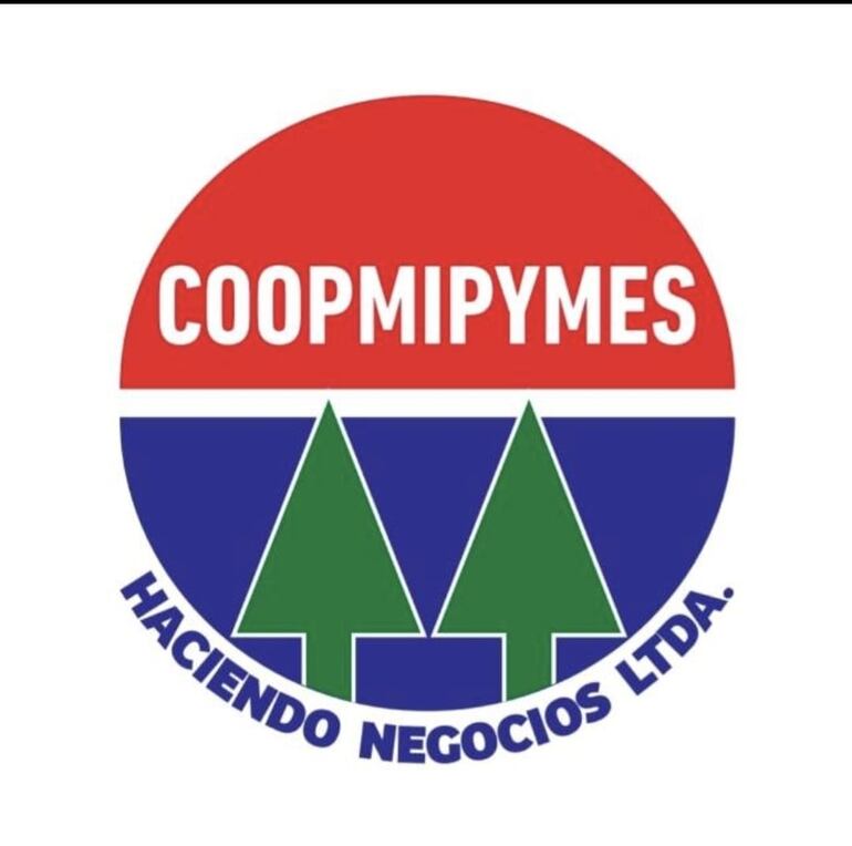 Líderes de mipymes están en proceso de la operación de una cooperativa que facilite los trámites para microcréditos al sector.