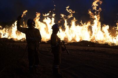 Al menos 800.000 hectáreas de campos y bosques ardieron por causa de los incendios forestales en Corrientes, Argentina. Las pérdidas son incalculables.