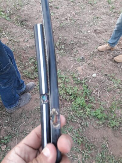 Parte de la fibra dañada - Foto gentileza