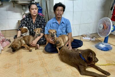 Después de que las autoridades sacrificaran a sus 13 perros por miedo a que pudieran propagar la covid-19, los vietnamitas Pham Minh Hung y Nguyem Thi Chi Em tratan de superar el trauma adoptando nuevos cachorros a cuyo cuidado dedican buena parte de sus escasos ingresos.
