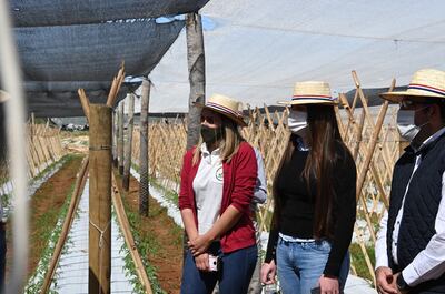 Visita demostrativa a la finca modelo donde se implementan soluciones innovadoras, con tecnología adaptada a sistemas de producción de agricultura familiar, que fue elogiada por la viceministra de Agricultura, Ing. Agr. Bettina Aguilera (centro).