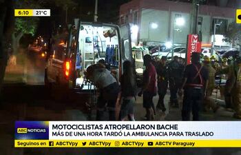 Atropellaron bache, cayeron y sufrieron heridas
