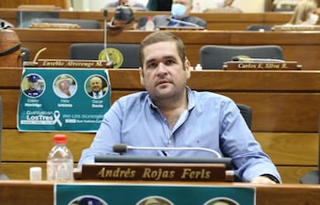 diputado andrés rojas feris