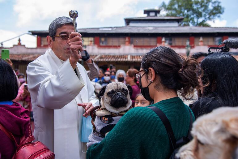 Personas llevan a sus mascotas a bendecir en el marco de los festejos de San Francisco de Asís, en el municipio de San Cristobal de las Casas, estado de Chiapas (México).