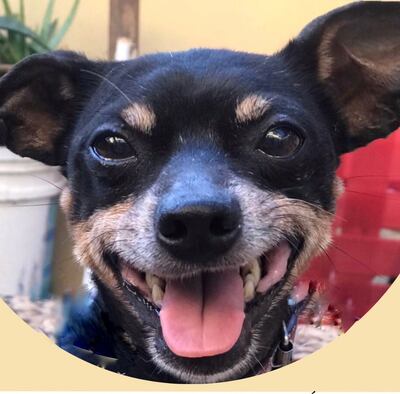 Está con tratamiento médico.