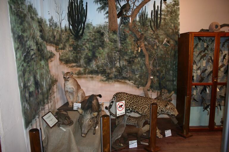  Museo Científico Jakob Unger, ubicado en Filadelfia.
