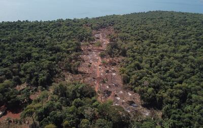 Extensa franja deforestada por ocupantes ilegales dentro de la reserva que envuelve a la represa de la Itaipú Binacional.