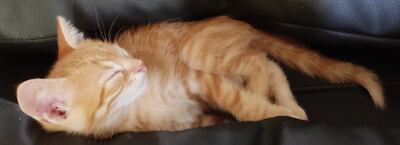 /pf/resources/images/abc-placeholder.png?d=2394