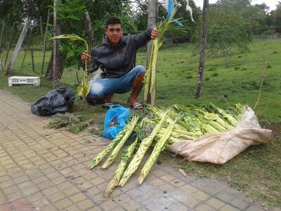 Imagen sin descripción