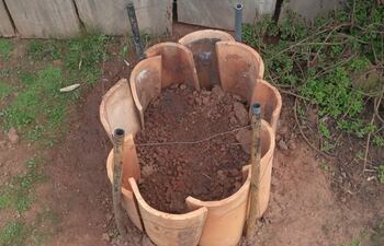 Lugar donde fue enterrado el feto de la niña, víctima de explotación sexual.