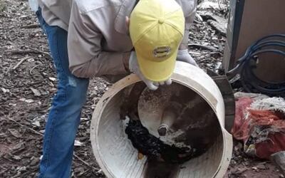 La lucha contra el Aedes aegypti es posible a través de la eliminación periódica de posibles criaderos del mosquito.