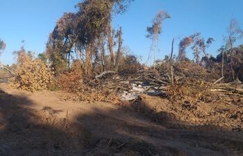 Un desmonte que habría autorizado el jefe de Infona de San Juan Nepomuceno.