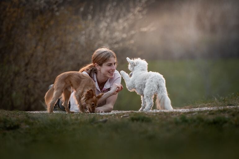 Stefanie Riemer fue durante varios años directora de un equipo de investigación de la conducta canina en la Universidad de Berna.