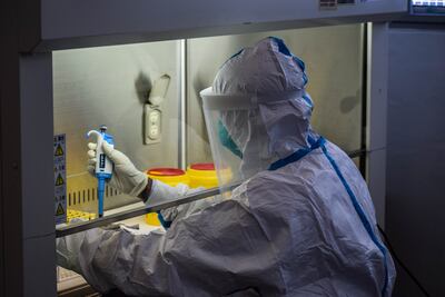 Un técnico examina muestras de personas sospechosas de tener coronavirus, en un laboratorio en Kenia.