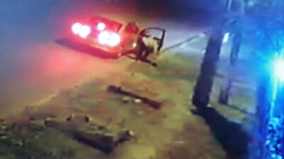 Momento en el que la mujer se apodera de la mascota.