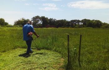 Los dueños de baldíos que tengan por encima de un metro sus terrenos pagarán una multa.
