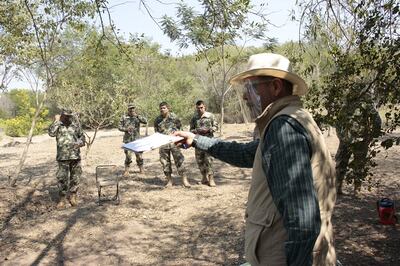 Buscarán salvar al Parque Guasú de las  especies exóticas invasoras