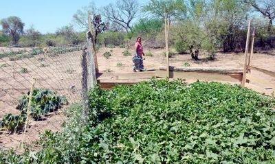 En Loma esperan contar con agua suficiente para la huerta comunitaria.