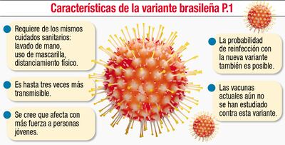 CARACTERÍSTICAS DE LA VARIANTE BRASILEÑA P.1