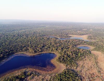 Coca-Cola elabora alianzas estratégicas vinculadas a la conservación, cuidado y acceso al agua.