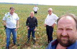 Directivos de la APS, en un cultivo de soja, en que se nota su poco desarrollo por culpa de la sequía. En primer plano Lucas Billing. En el fonto, Eno Michels, Lindemar Cesca, Ilvo Spielmann y Neivo Fritzen,
