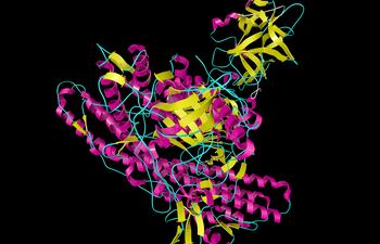Neurotoxina tetánica