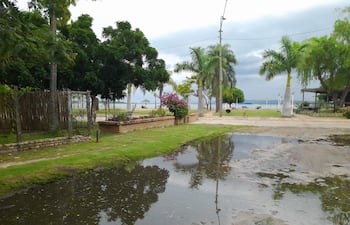 Criaderos de mosquitos en San Ber 04 de abril de 2023. Unas moléculas en la saliva del mosquito transmisor del dengue debilitan el sistema inmunológico humano y ayudan a que la infección se afiance en el organismo, explica a EFE Mariano García-Blanco, jefe del equipo que ha descubierto esta poderosa arma de un virus que afecta a millones de personas.