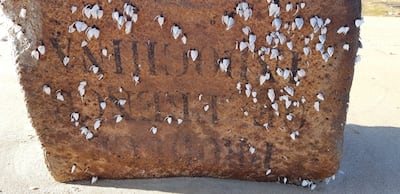 HANDOUT - Sobre uno de los bultos arrojados por el mar sobre las playas del estado de Sergipe, en el noreste brasileño, se lee la inscripción "Product of French Indochina". Según la Administración Estatal de Medio Ambiente de Brasil (Adema), en un mes se han recogido más de 350 "cajas misteriosas" en varias playas del estado. Un estudio científico concluye que proceden de un barco alemán que se hundió frente a la costa de Brasil en 1944. Foto: ---/UNiversidade Federal do Ceara/dpa - ATENCIÓN: Sólo para uso editorial y mencionando el crédito completo