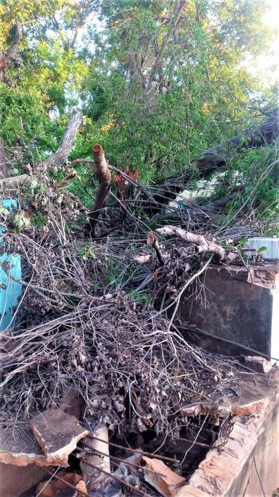 Las bóvedas de algunas tumbas quedaron al descubierto y con cualquier lluvia puede empeorar.