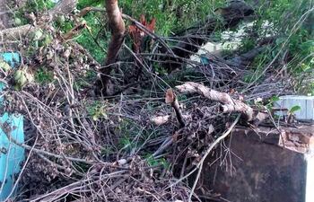 Las bóvedas de algunas tumbas quedaron al descubierto y con cualquier lluvia puede empeorar.