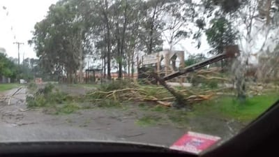 Imagen sin descripción