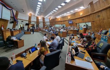 Sesión de la Cámara de Diputados.