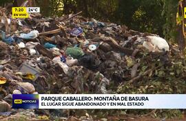 Video: montaña de basura en Parque Caballero