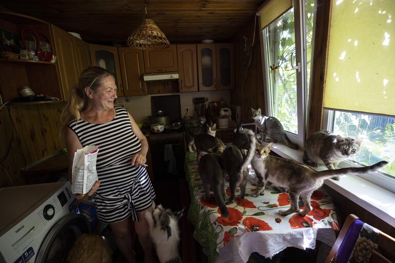  Lara Bezvesilna, es una mujer ucraniana que ha decidido acoger en su hogar a gatos y perros abandonados producto de la guerra, en Járkov (Ucrania). 