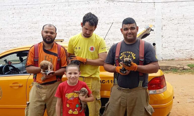 Bomberos posan con los perritos y un niño.