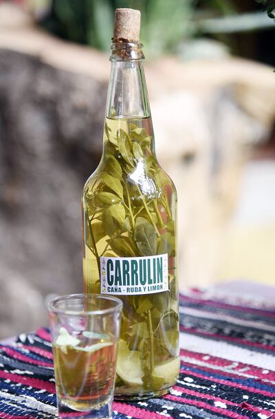 El pohã ñana y la caña paraguaya celebran su día