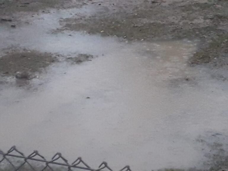 /pf/resources/images/abc-placeholder.png?d=2429